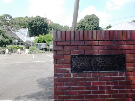 ��������ѿ�ʪ�� �����