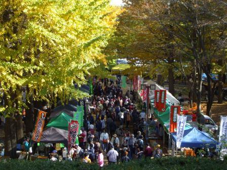 ���Ϻפ��ͻ�