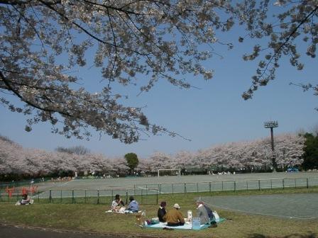 ���饦��ɳ����˹������